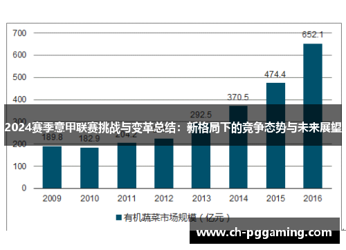 2024赛季意甲联赛挑战与变革总结：新格局下的竞争态势与未来展望