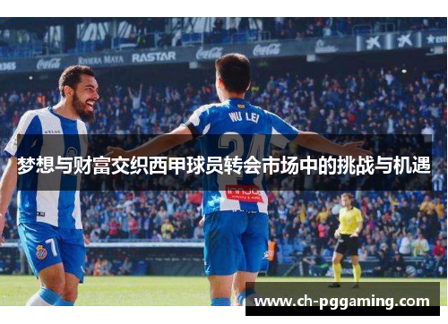 梦想与财富交织西甲球员转会市场中的挑战与机遇