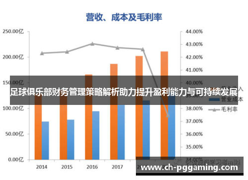 足球俱乐部财务管理策略解析助力提升盈利能力与可持续发展