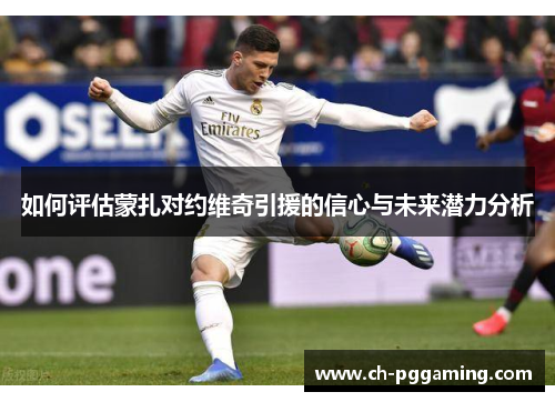 如何评估蒙扎对约维奇引援的信心与未来潜力分析