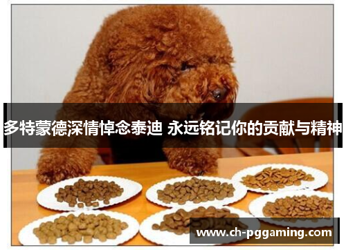 多特蒙德深情悼念泰迪 永远铭记你的贡献与精神 多特蒙德深情悼念泰迪 永远铭记你的贡献与精神