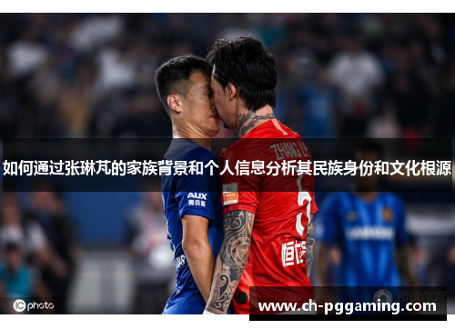 如何通过张琳芃的家族背景和个人信息分析其民族身份和文化根源