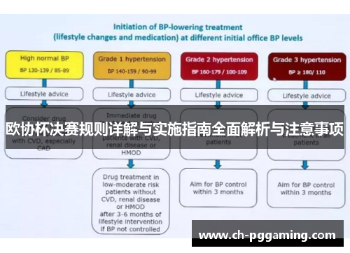 欧协杯决赛规则详解与实施指南全面解析与注意事项